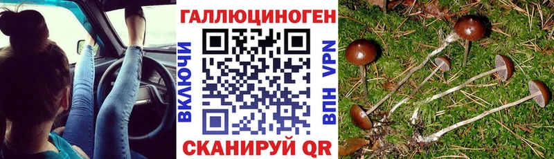 Купить  Емва  Псилоцибиновые грибы мухоморы 
